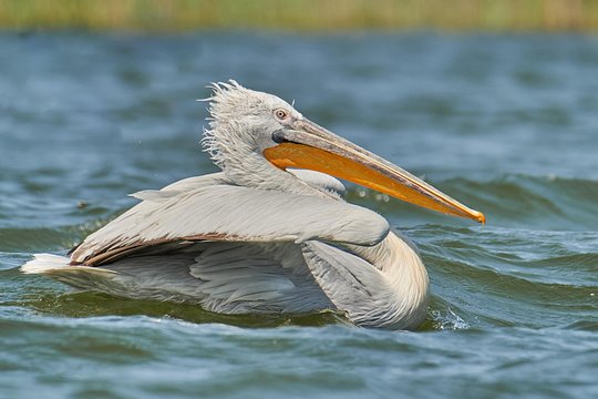Tour image 8